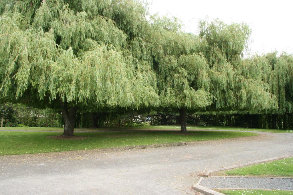 Whangarei Central Holiday Park Luaran gambar
